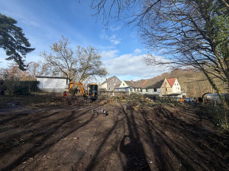 Rodung und Baufeldräumung in Bochum-Nord – Oliver Wessels Dienstleistungen