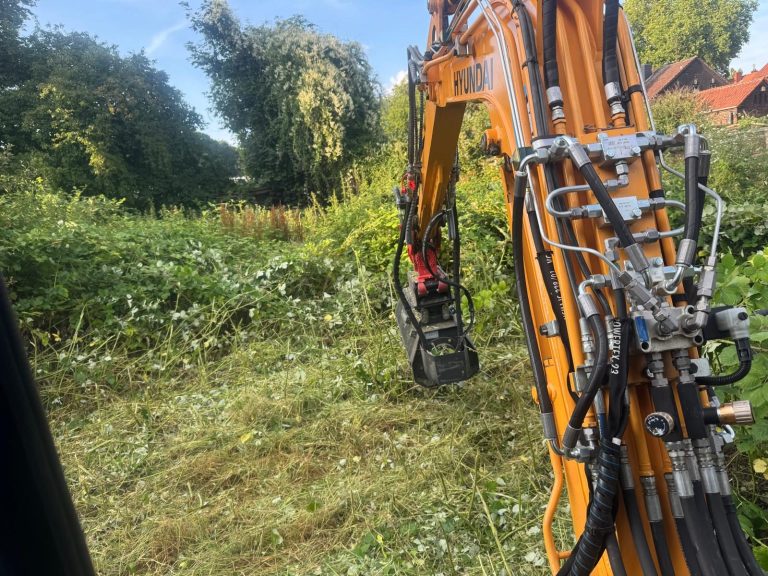 Rodungsarbeiten in Bochum – Oliver Wessels Dienstleistungen