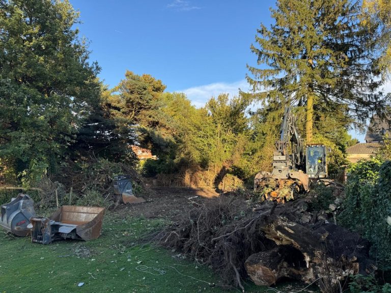 Rodung einer Waldfläche in Herne – Oliver Wessels Dienstleistungen