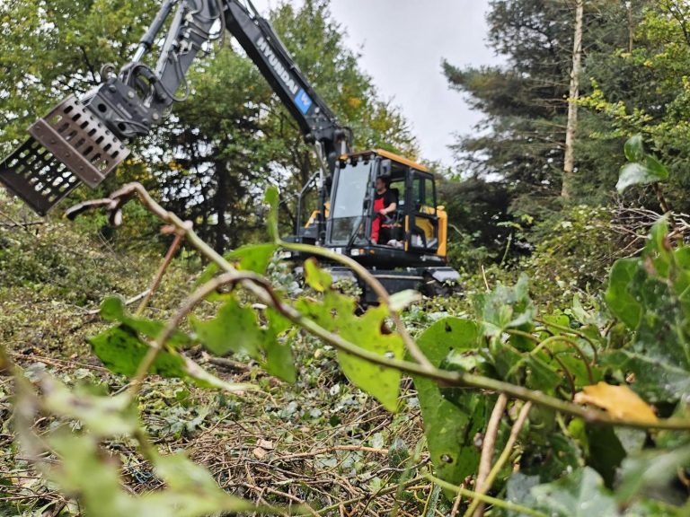 Rodung einer Waldfläche in Herne – Oliver Wessels Dienstleistungen